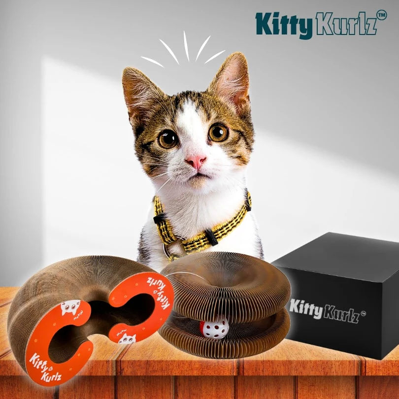 Kurlz™ - RASCADOR GATO CARTON IMAN + PELOTA